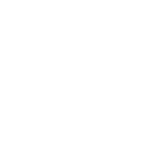 Logo - Zimas motorsport